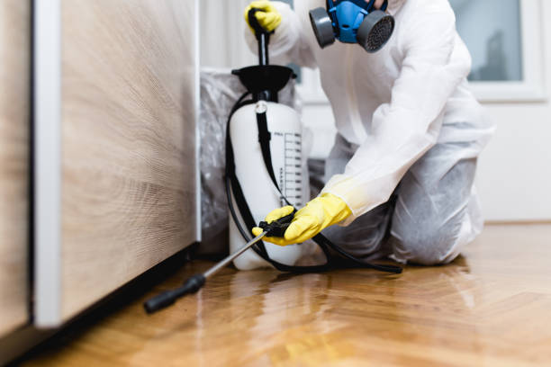 Best Affordable Exterminators  in Enterprise, UT