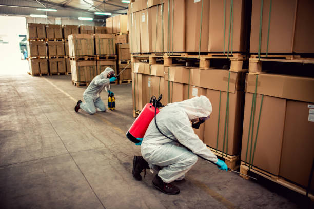 Best Flea Control Services  in Enterprise, UT