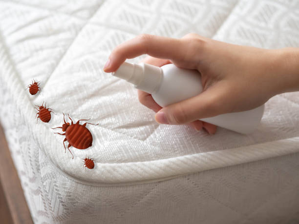 Best Local Pest Control Services  in Enterprise, UT