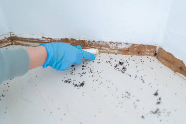 Best Affordable Pest Control Services  in Enterprise, UT